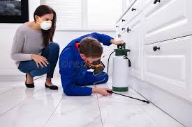 Best Fumigation Services  in Blackwater, AZ